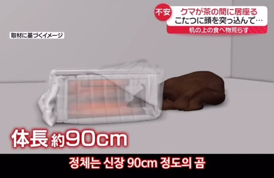 일본의 황당한 불법침입 사례_3.jpg