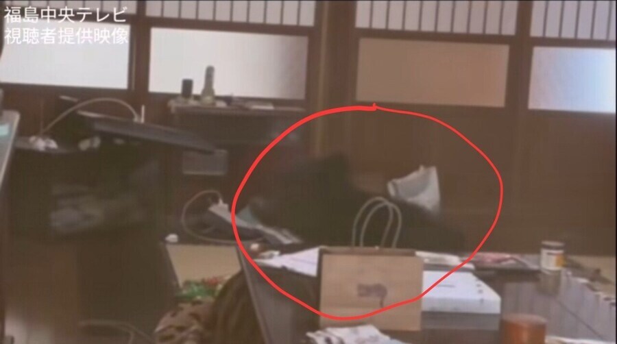 일본의 황당한 불법침입 사례_9.jpg
