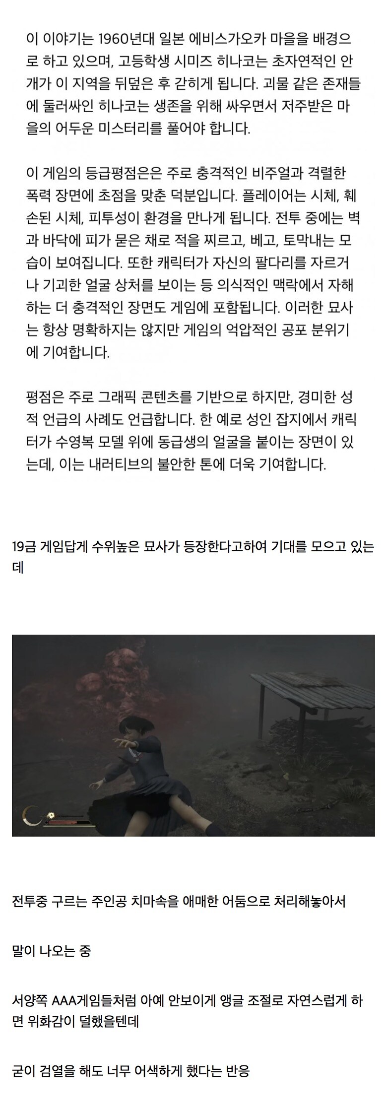 어느 신작 게임의 팬티 검열.jpg_2.jpg