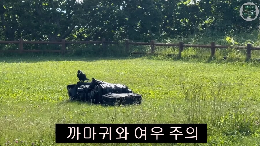 캠핑) 홋카이도에서 캠핑할 때 주의할 점_3.png