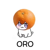 과일과 도로롱_5.webp