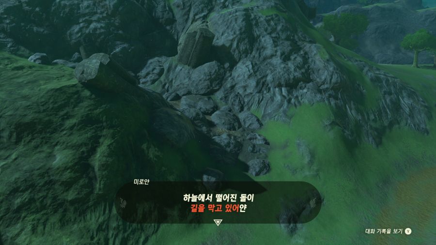 젤다의 전설 티어즈 오브 더 킹덤_20.png