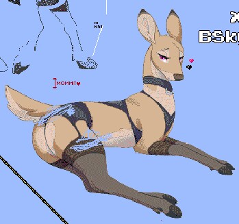 wplace)끊임없이 수상해지는 하와이 근황_11.png