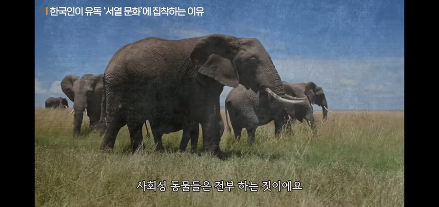 대한민국이 서열나누기에 집착하는 이유_8.jpg