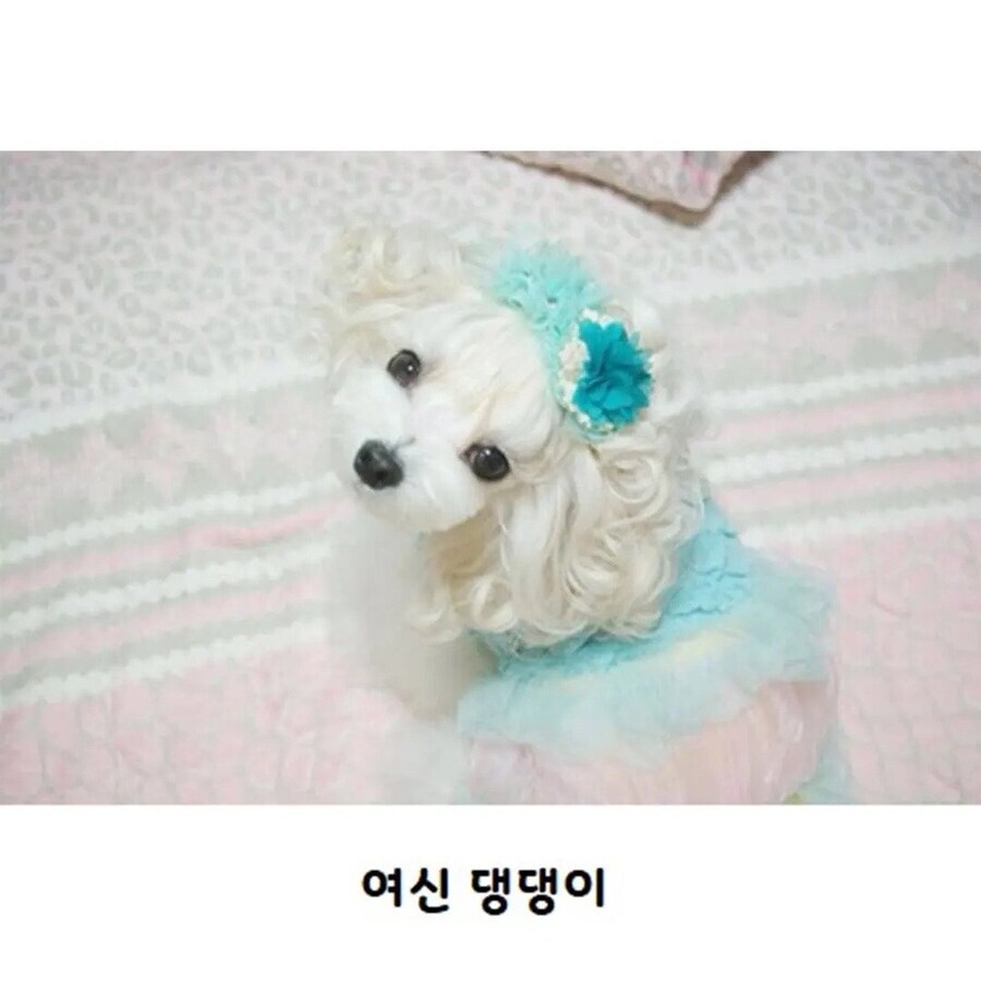 수수깡으로 펌 한 멍뭉이.jpg_6.jpg