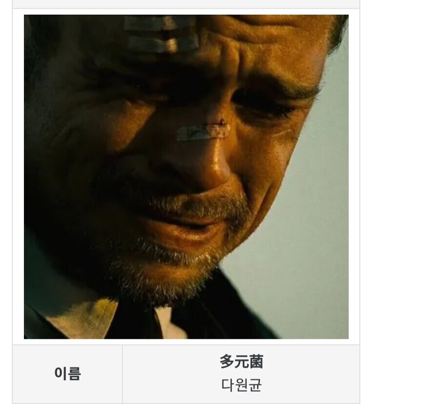 일러레중에서 아직도 풀리지않는 미스테리한 일러레_2.jpg