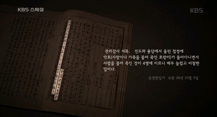 ??? : 한국의 귀여운 호랑이들을 살렸어야 했는데 일본 때문에 다 없어졌어!_3.jpg
