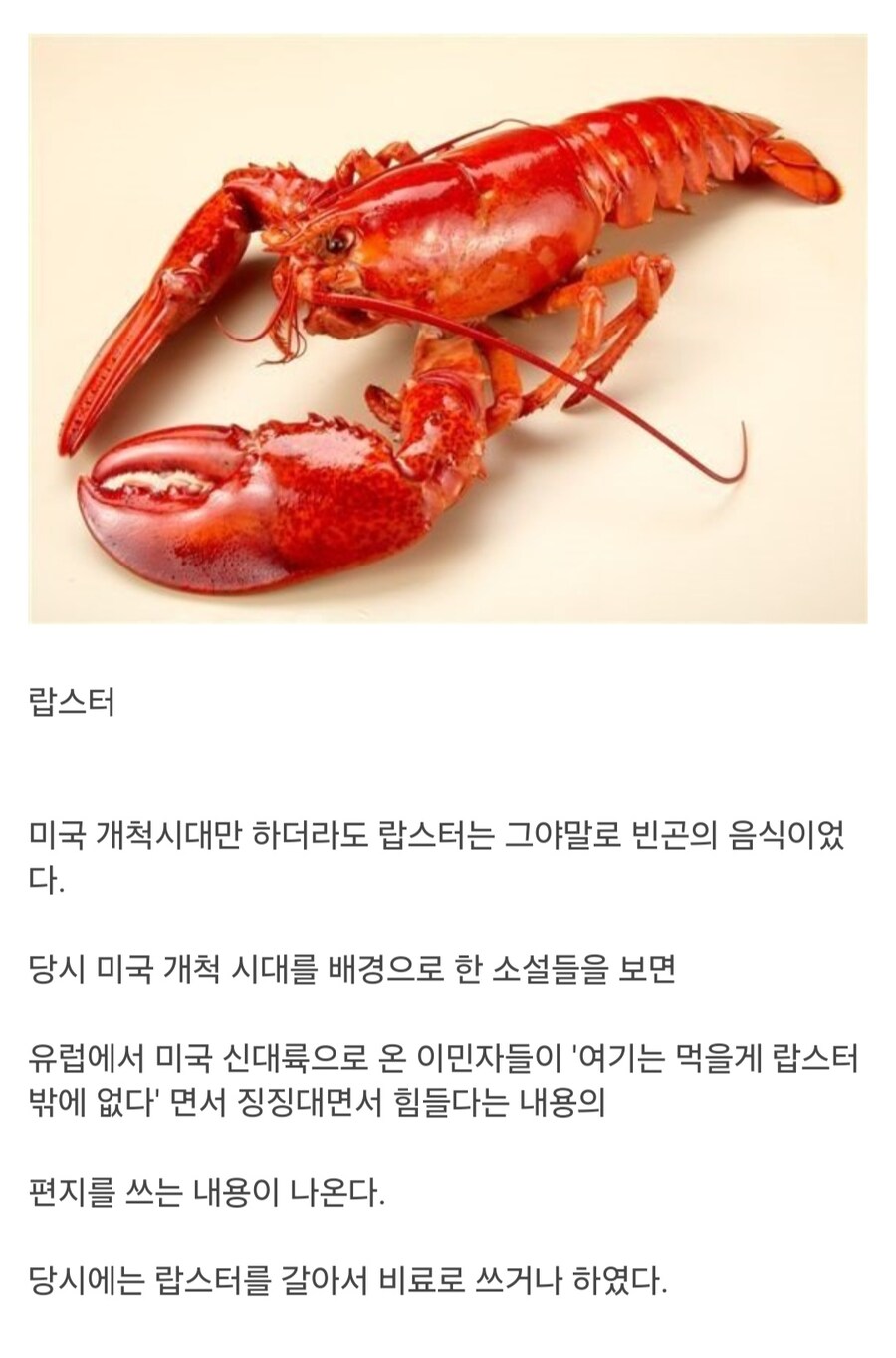 옛날엔 흔하고 싸구려였는데 요즘은 비싸진 음식_5.jpg