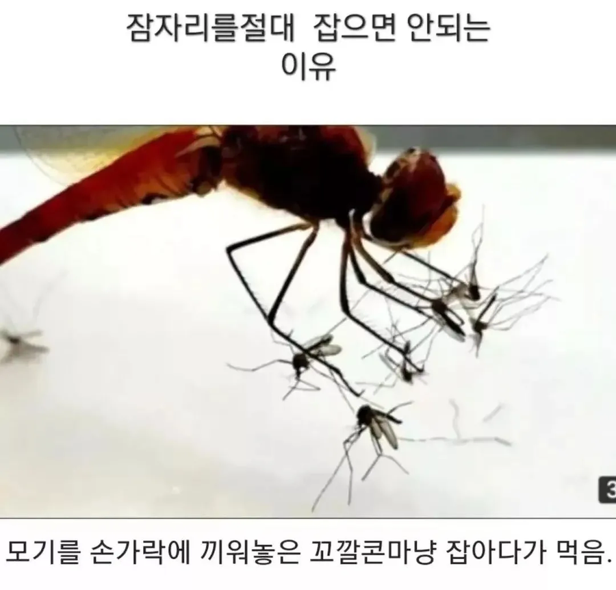 혼자서 유부녀 여섯 상대하는 잠자리 기술🥵_1.webp