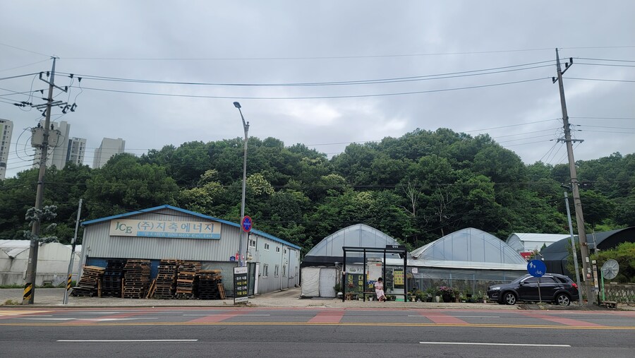 6월달 서울시립공원묘지 탐조_3.jpg