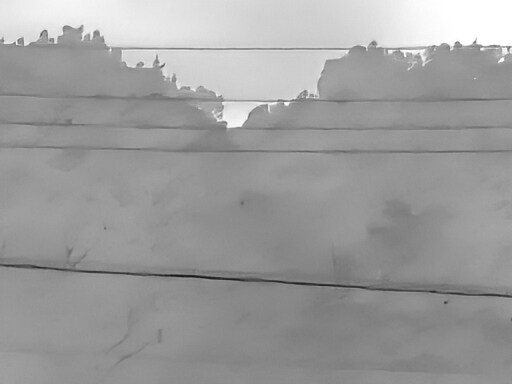 6월달 서울시립공원묘지 탐조_2.jpg