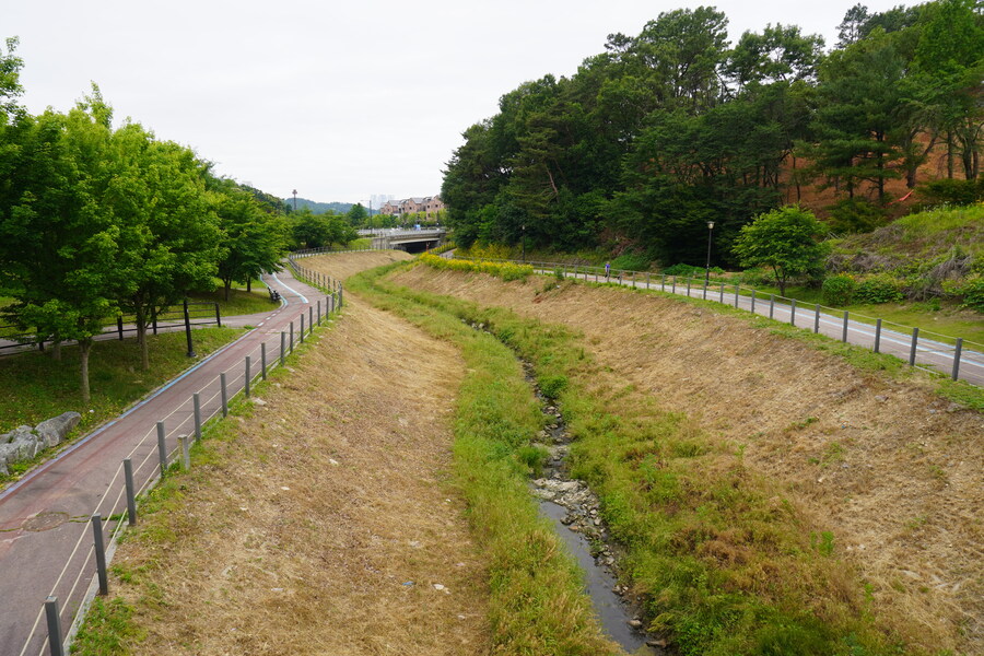 6월달 서울시립공원묘지 탐조_11.jpg