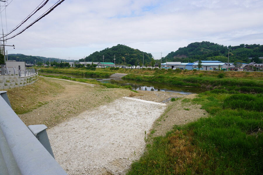 6월달 서울시립공원묘지 탐조_13.jpg