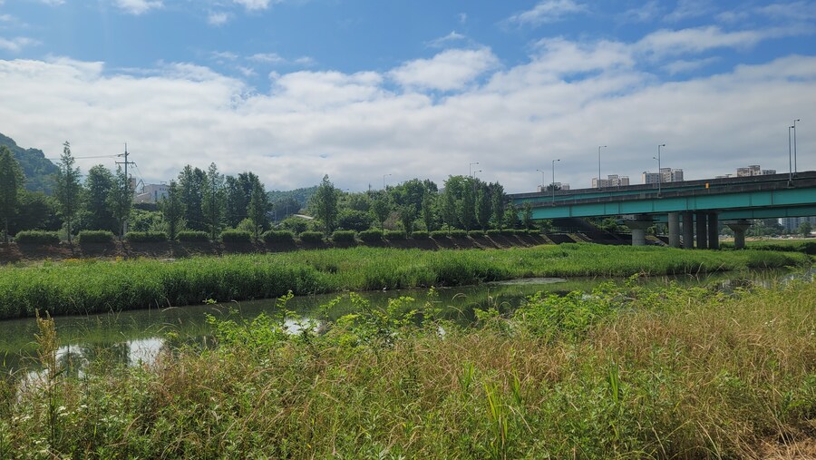 6월달 서울시립공원묘지 탐조_19.jpg