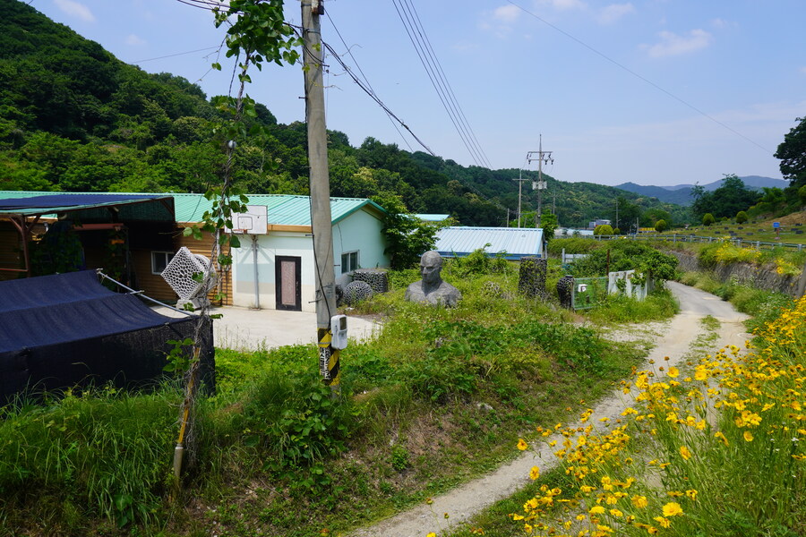 6월달 서울시립공원묘지 탐조_39.jpg