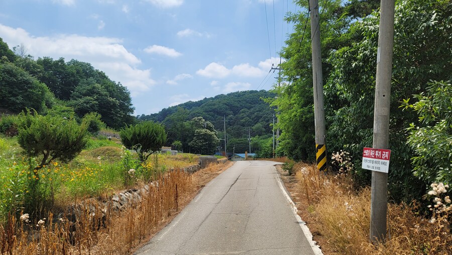 6월달 서울시립공원묘지 탐조_45.jpg