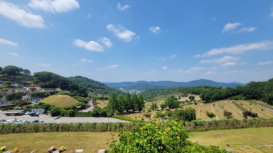 6월달 서울시립공원묘지 탐조_57.jpg