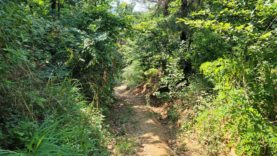 6월달 서울시립공원묘지 탐조_60.jpg