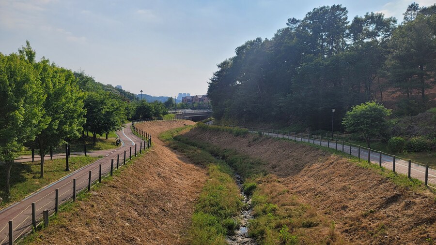 6월달 서울시립공원묘지 탐조_72.jpg