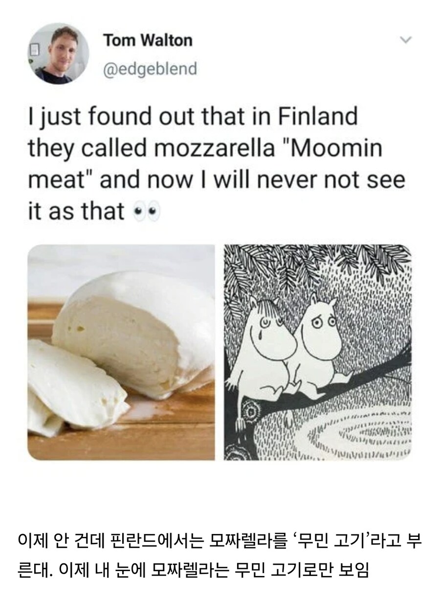 핀란드 특산품이라고 하는 무민 고기.jpg_2.jpg