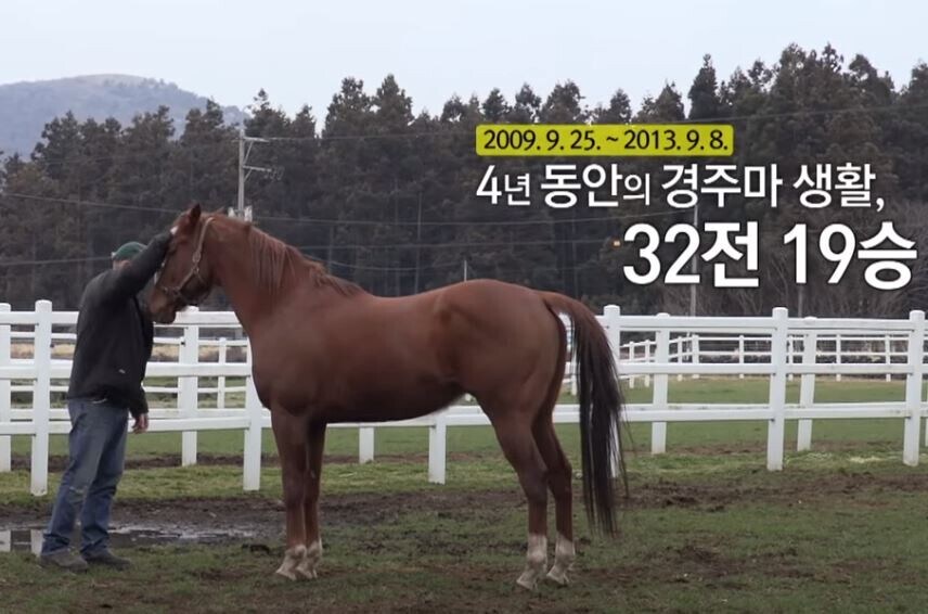 국내 최초(?)의 은퇴마 팬미팅 행사에 빠진 어느 경주마._1.jpg