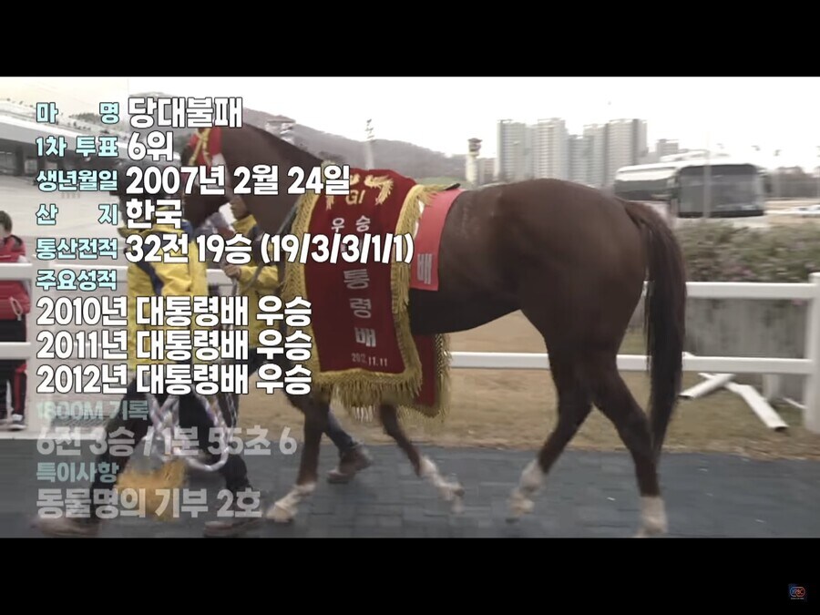 국내 최초(?)의 은퇴마 팬미팅 행사에 빠진 어느 경주마._2.jpg