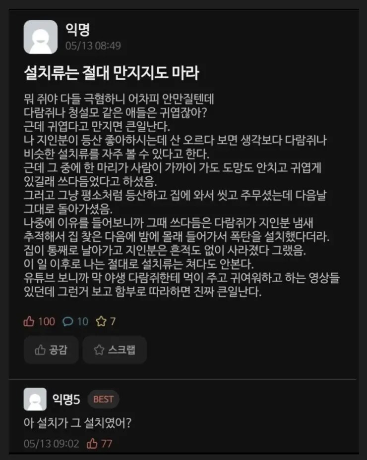 설치류가 무시무시한 이유_1.png