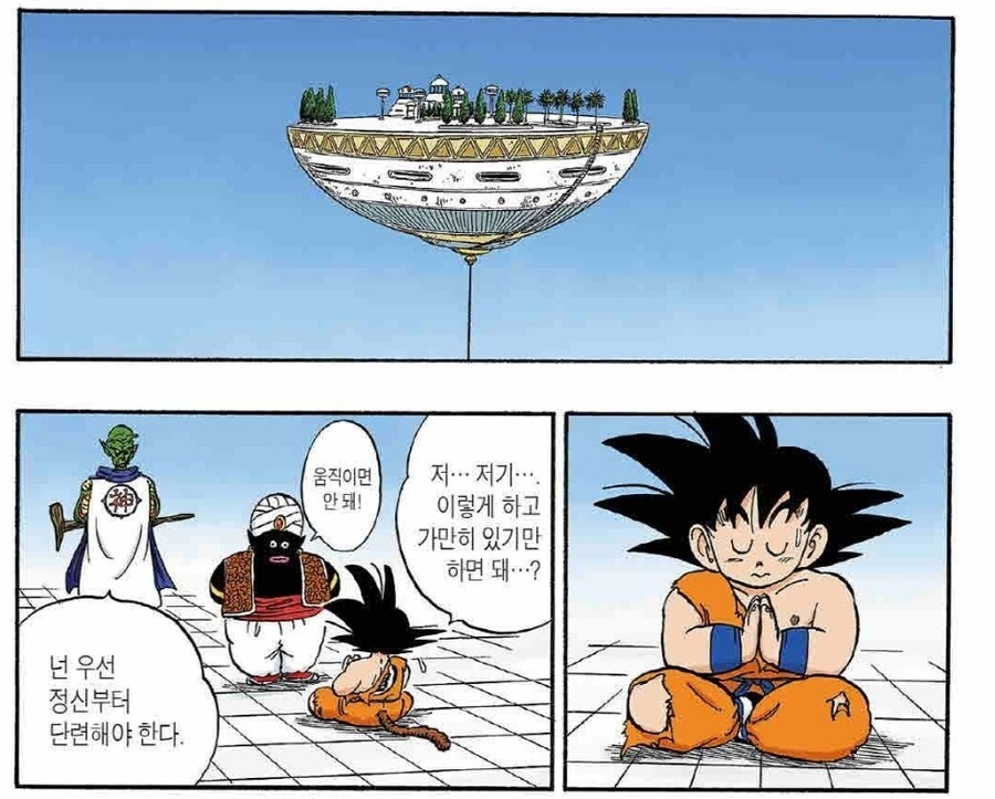 드래곤볼식 명상훈련_4.jpg