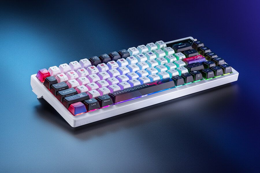 [알리] 알리에서 만나는 ROG 게이밍 기어! 알급날 프로모션 참여 안내_6.jpg