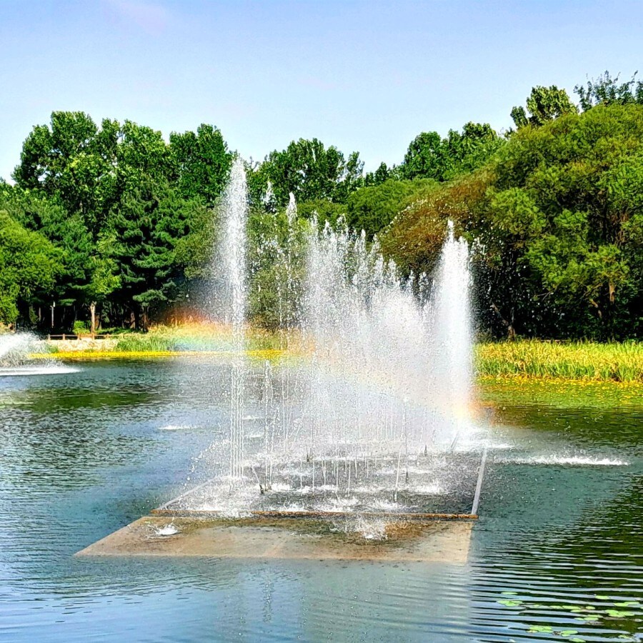 무지 개같다_1.jpg