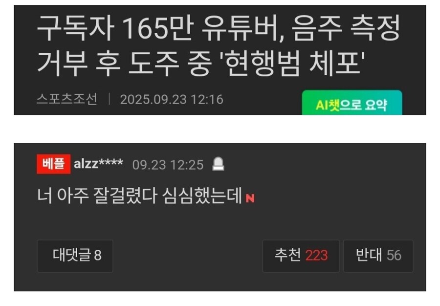 음주 측정 거부한 유튜버 기사에 달린 베플_1.jpg