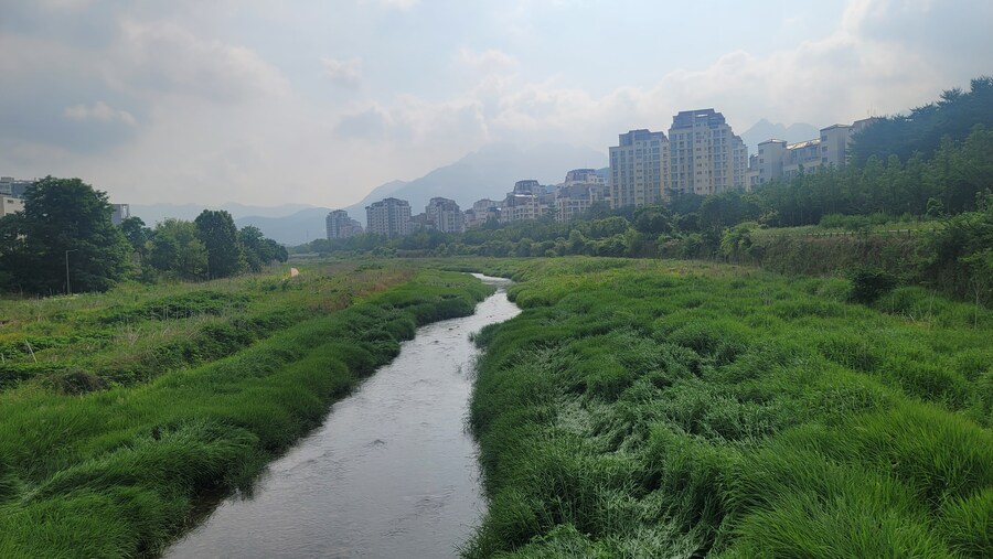 6월, 가볍게 공릉천 탐조_1.jpg