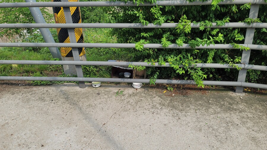 6월, 가볍게 공릉천 탐조_7.jpg