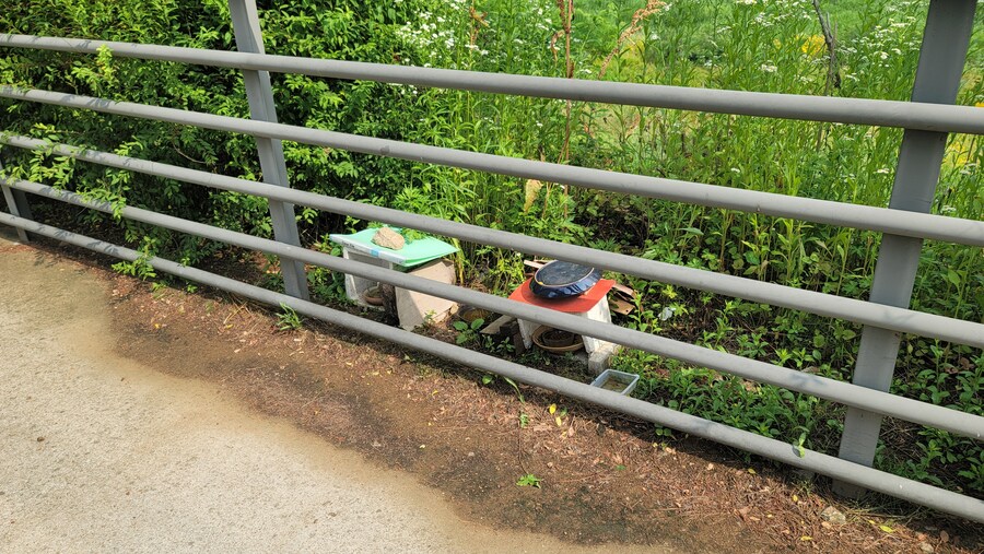 6월, 가볍게 공릉천 탐조_9.jpg