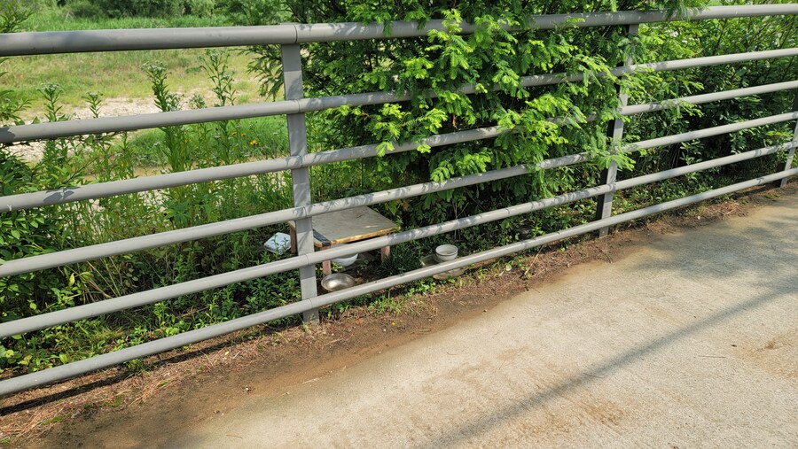 6월, 가볍게 공릉천 탐조_13.jpg