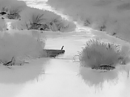 6월, 가볍게 공릉천 탐조_25.jpg