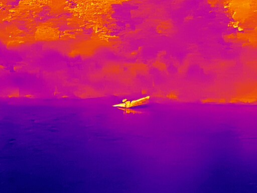 6월, 가볍게 공릉천 탐조_27.jpg