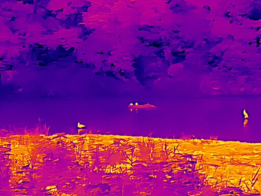 6월, 가볍게 공릉천 탐조_40.jpg