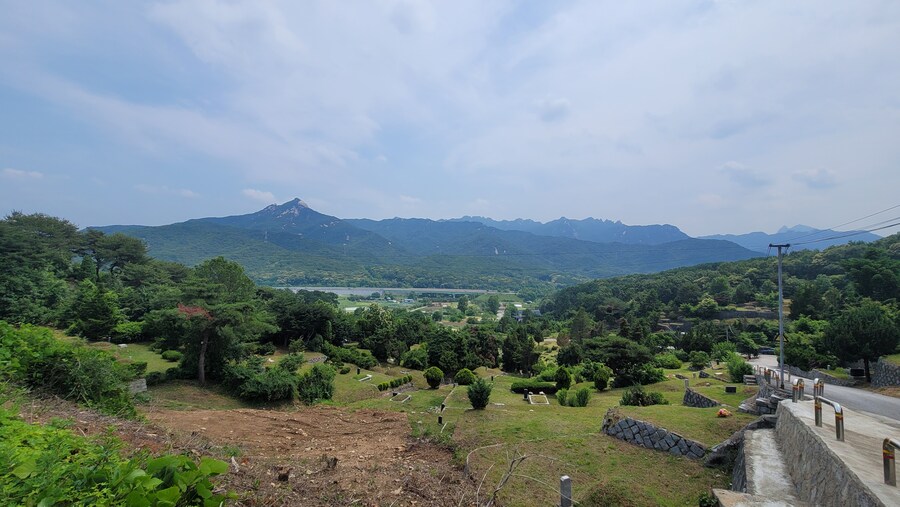 6월, 가볍게 공릉천 탐조_57.jpg