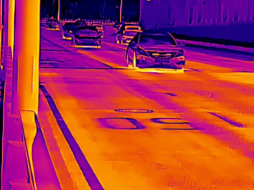 6월, 가볍게 공릉천 탐조_67.jpg