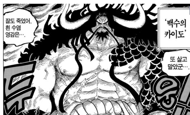 원피스 점점 설득력을 얻고 있는 음해_2.jpg