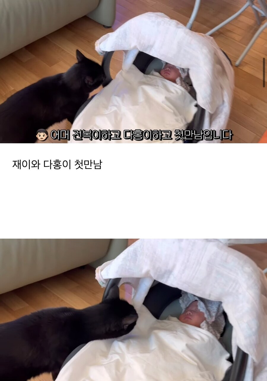 완전체가 된 박수홍네 가족_2.jpg