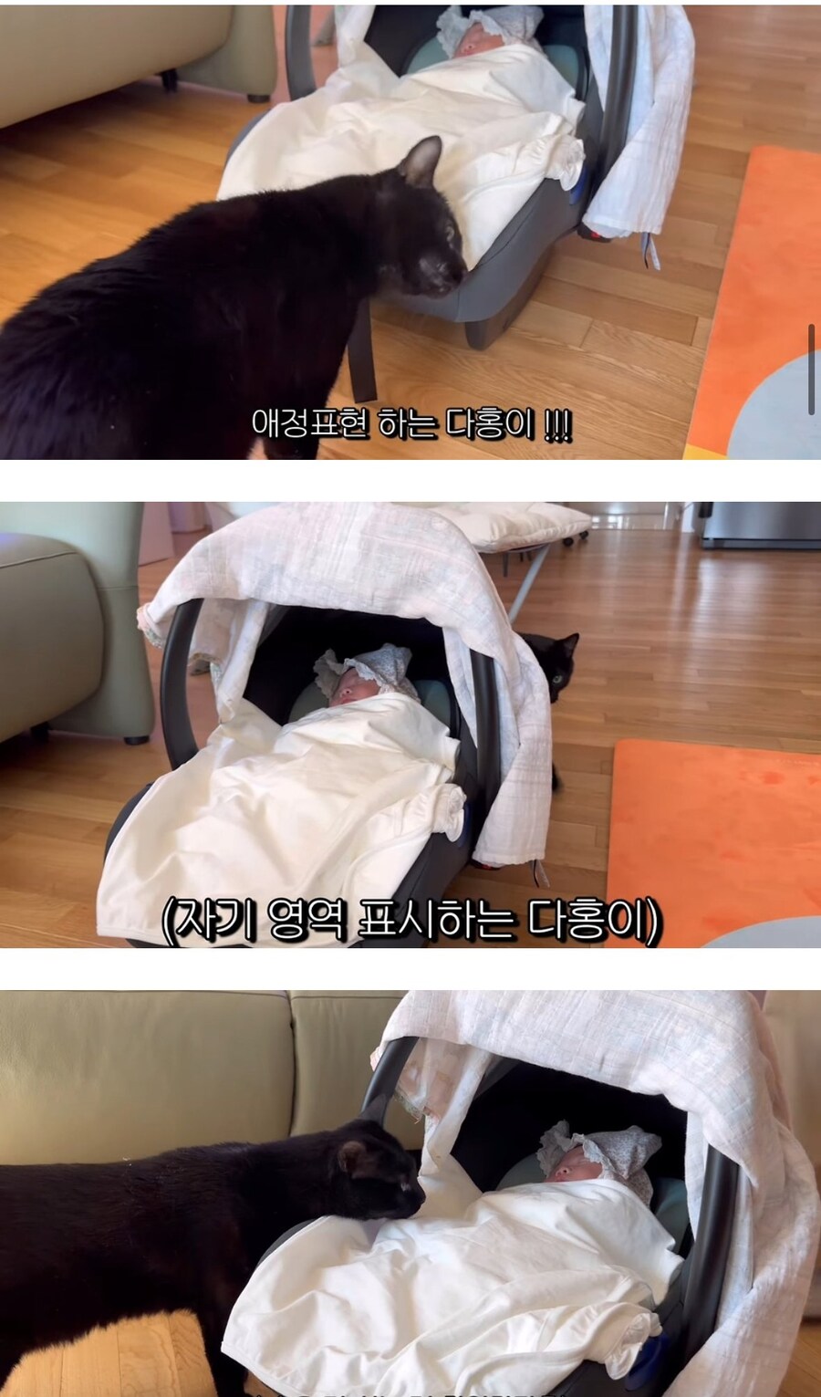 완전체가 된 박수홍네 가족_3.jpg