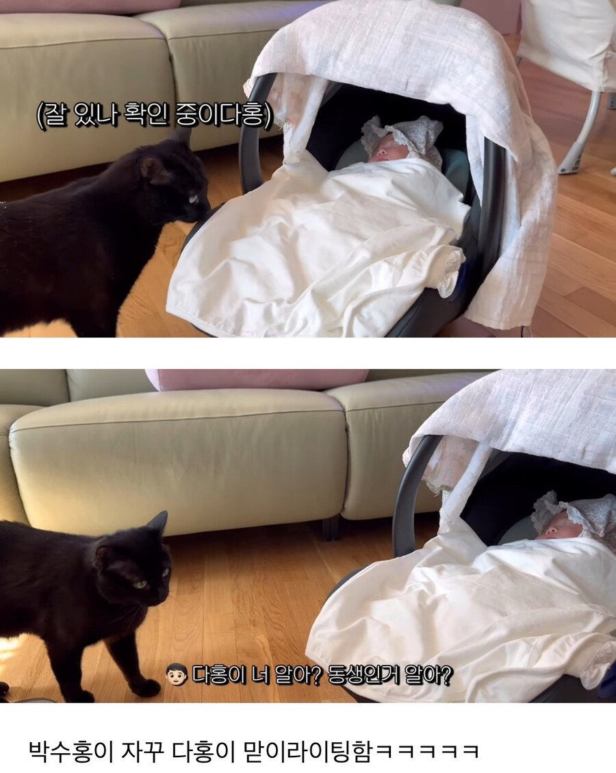 완전체가 된 박수홍네 가족_5.jpg