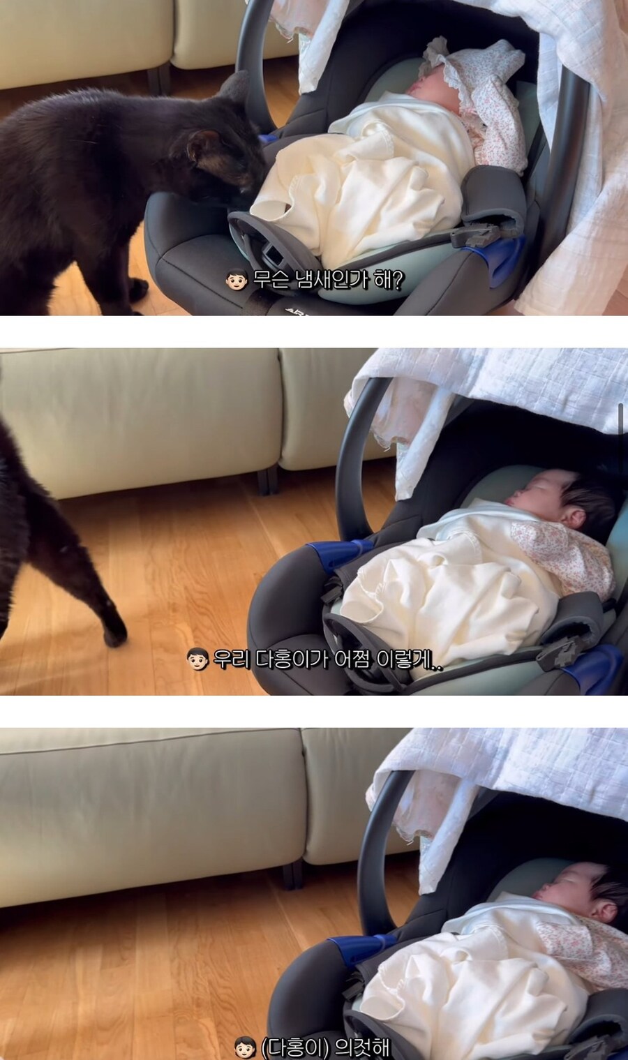 완전체가 된 박수홍네 가족_6.jpg