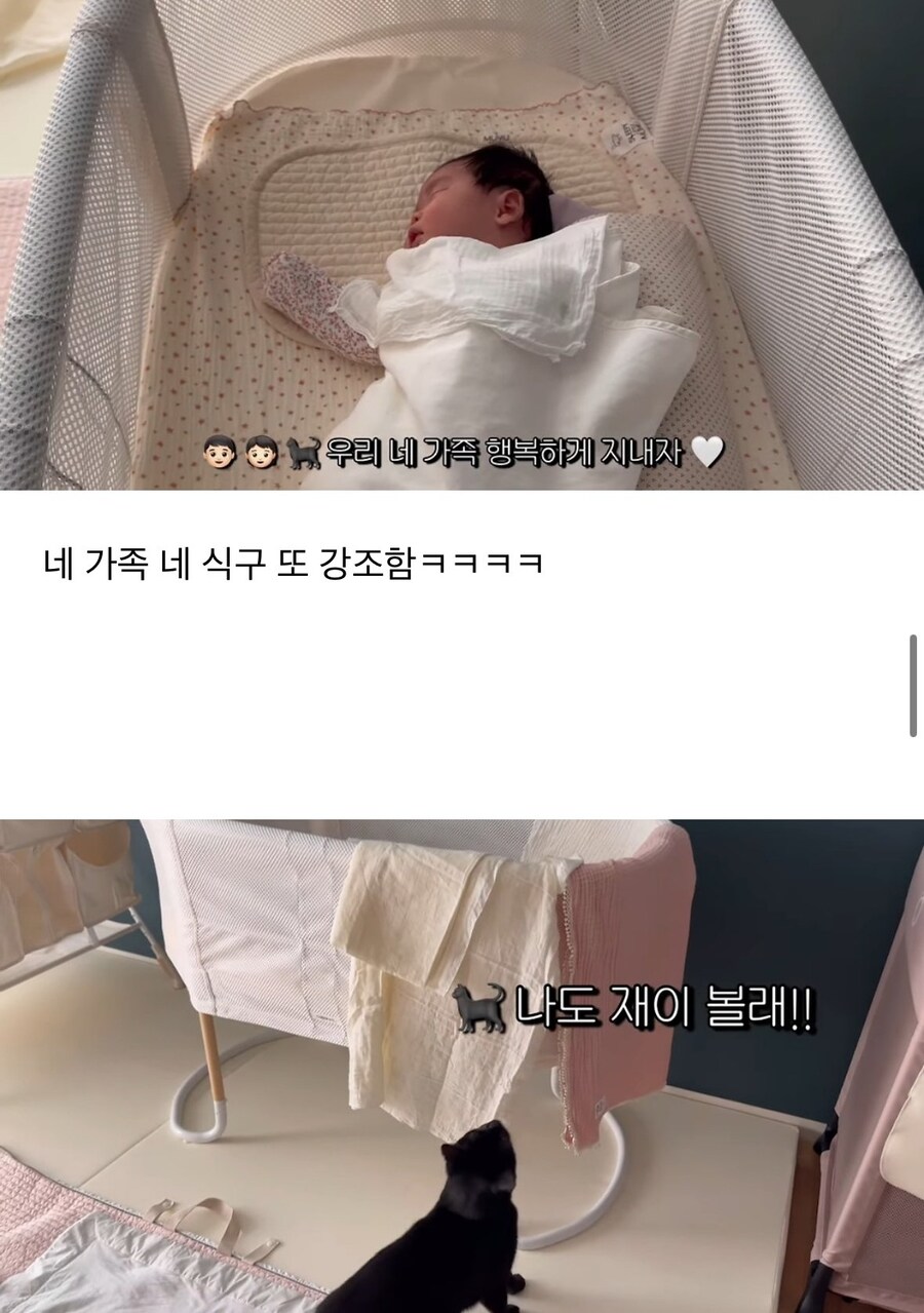 완전체가 된 박수홍네 가족_7.jpg