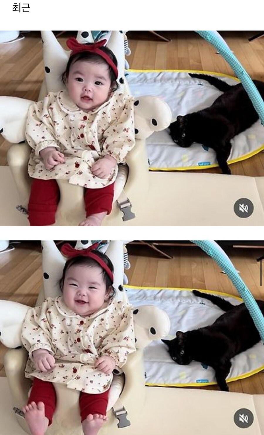 완전체가 된 박수홍네 가족_10.jpg