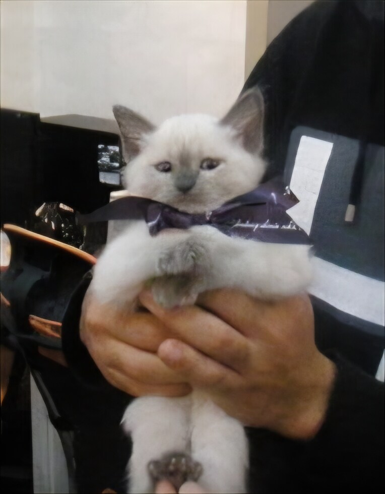 [오늘은 사랑이의 15살 생일입니다] (스압주)_7.jpg