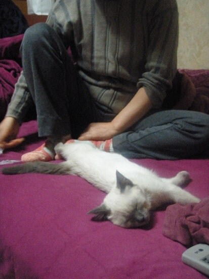 [오늘은 사랑이의 15살 생일입니다] (스압주)_16.jpg