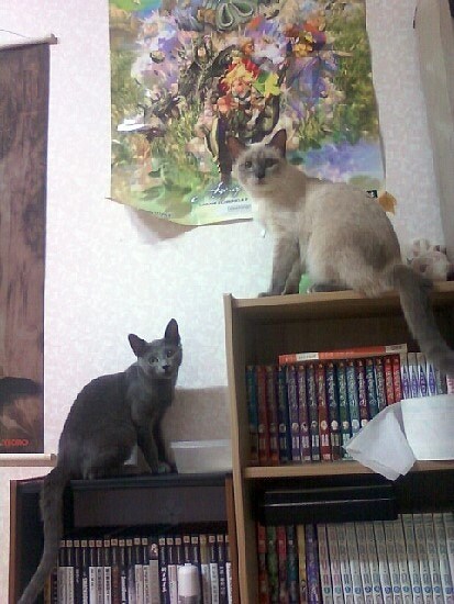 [오늘은 사랑이의 15살 생일입니다] (스압주)_32.jpg